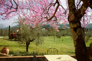 Amedea Tuscany Country Experience - Agriturismo a Pistoia